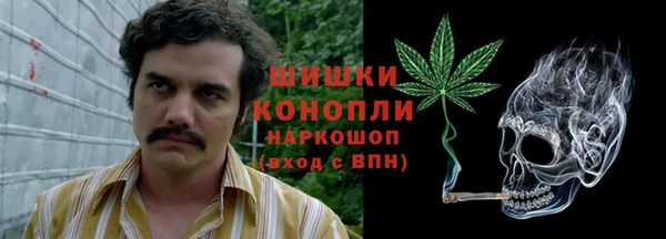 ГАЛЛЮЦИНОГЕННЫЕ ГРИБЫ Иннополис