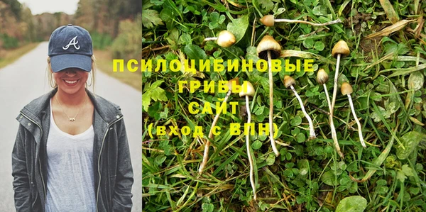 ГАЛЛЮЦИНОГЕННЫЕ ГРИБЫ Иннополис
