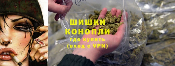 ГАЛЛЮЦИНОГЕННЫЕ ГРИБЫ Иннополис